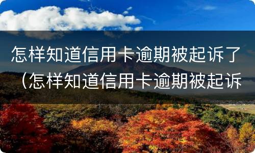 怎样知道信用卡逾期被起诉了（怎样知道信用卡逾期被起诉了没）