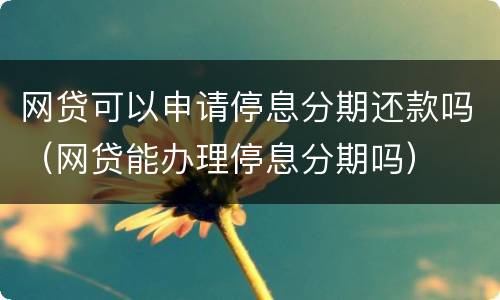 网贷可以申请停息分期还款吗（网贷能办理停息分期吗）