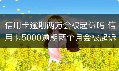 信用卡逾期两万会被起诉吗 信用卡5000逾期两个月会被起诉吗