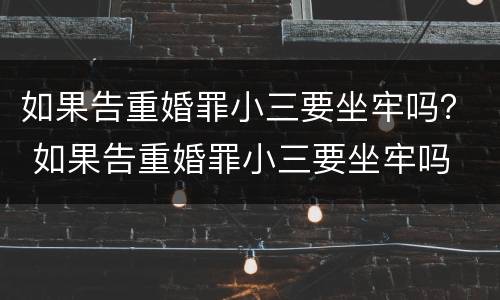 如果告重婚罪小三要坐牢吗？ 如果告重婚罪小三要坐牢吗