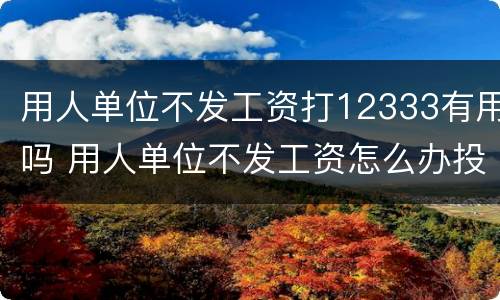 用人单位不发工资打12333有用吗 用人单位不发工资怎么办投诉打什么电话