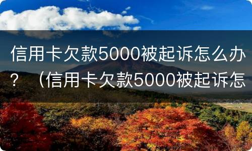信用卡欠款5000被起诉怎么办？（信用卡欠款5000被起诉怎么办）