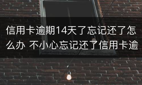 信用卡逾期14天了忘记还了怎么办 不小心忘记还了信用卡逾期4天怎么办