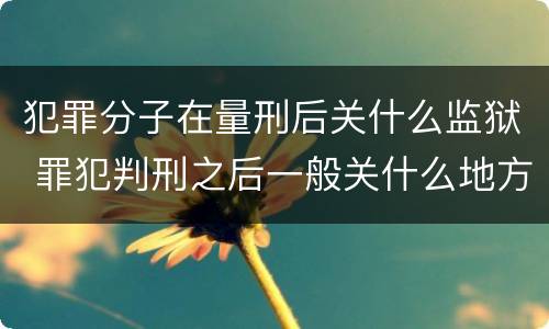 犯罪分子在量刑后关什么监狱 罪犯判刑之后一般关什么地方