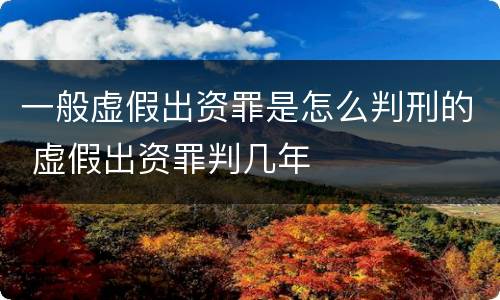 一般虚假出资罪是怎么判刑的 虚假出资罪判几年
