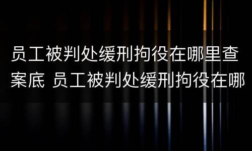 员工被判处缓刑拘役在哪里查案底 员工被判处缓刑拘役在哪里查案底记录