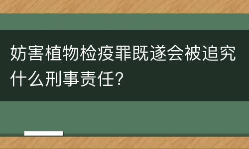 妨害植物检疫罪既遂会被追究什么刑事责任?