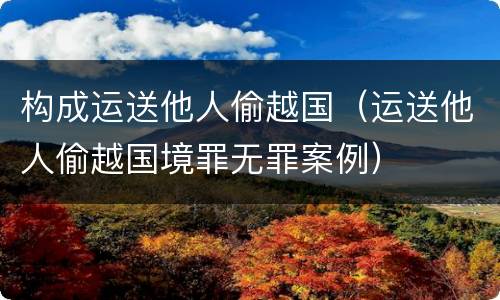构成运送他人偷越国（运送他人偷越国境罪无罪案例）