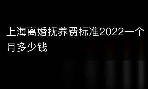 上海离婚抚养费标准2022一个月多少钱