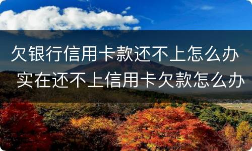 欠银行信用卡款还不上怎么办 实在还不上信用卡欠款怎么办