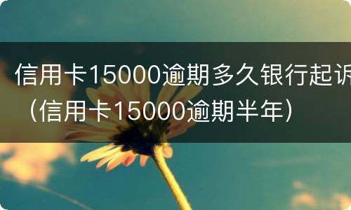 信用卡15000逾期多久银行起诉（信用卡15000逾期半年）