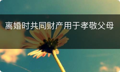 离婚时共同财产用于孝敬父母