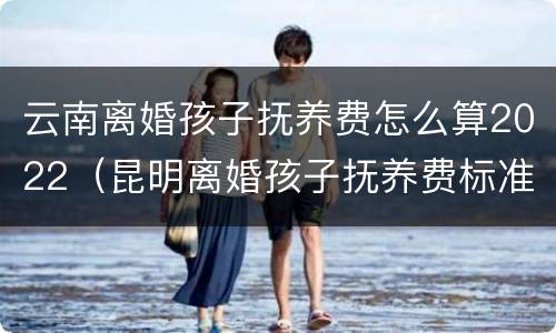 云南离婚孩子抚养费怎么算2022（昆明离婚孩子抚养费标准）