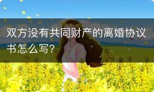 双方没有共同财产的离婚协议书怎么写？