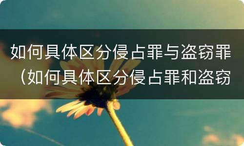 如何具体区分侵占罪与盗窃罪（如何具体区分侵占罪和盗窃罪）