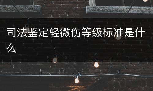 司法鉴定轻微伤等级标准是什么