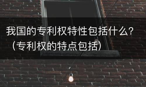 我国的专利权特性包括什么？（专利权的特点包括）