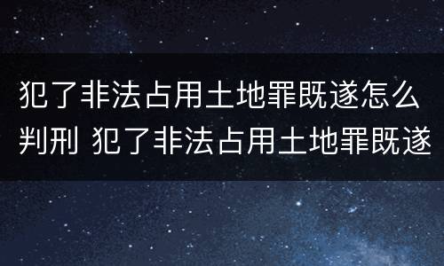 犯了非法占用土地罪既遂怎么判刑 犯了非法占用土地罪既遂怎么判刑的