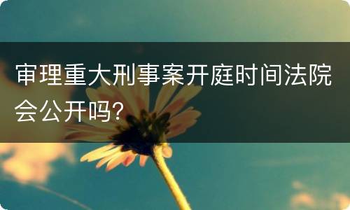 审理重大刑事案开庭时间法院会公开吗？