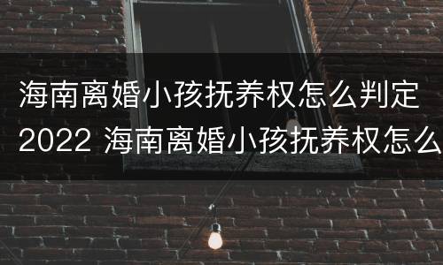 海南离婚小孩抚养权怎么判定2022 海南离婚小孩抚养权怎么判定2022年的