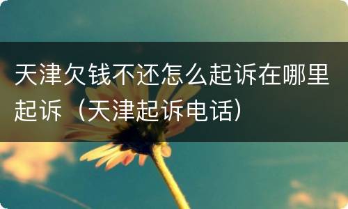 天津欠钱不还怎么起诉在哪里起诉（天津起诉电话）
