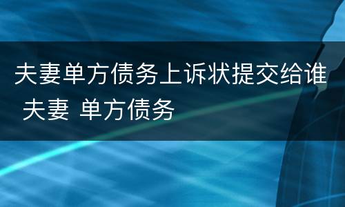 夫妻单方债务上诉状提交给谁 夫妻 单方债务