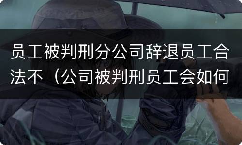 员工被判刑分公司辞退员工合法不（公司被判刑员工会如何）
