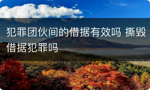 犯罪团伙间的借据有效吗 撕毁借据犯罪吗