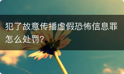 犯了故意传播虚假恐怖信息罪怎么处罚？