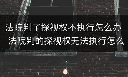 法院判了探视权不执行怎么办 法院判的探视权无法执行怎么办?