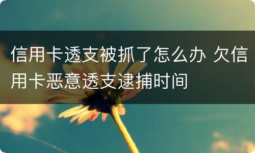 信用卡透支被抓了怎么办 欠信用卡恶意透支逮捕时间