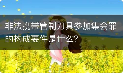 非法携带管制刀具参加集会罪的构成要件是什么？