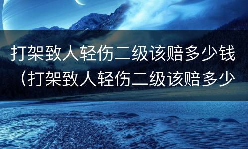 打架致人轻伤二级该赔多少钱（打架致人轻伤二级该赔多少钱合适）