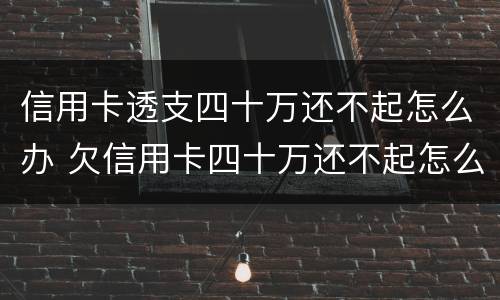信用卡透支四十万还不起怎么办 欠信用卡四十万还不起怎么办