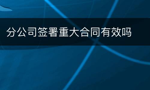 分公司签署重大合同有效吗