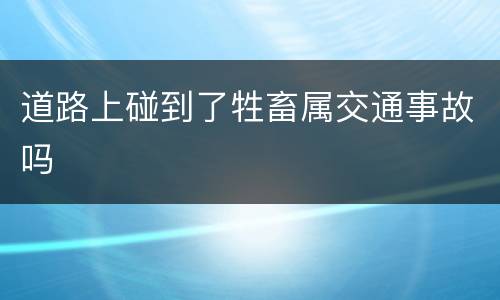 道路上碰到了牲畜属交通事故吗