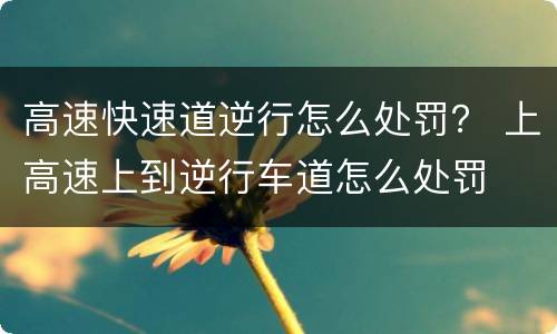 高速快速道逆行怎么处罚？ 上高速上到逆行车道怎么处罚