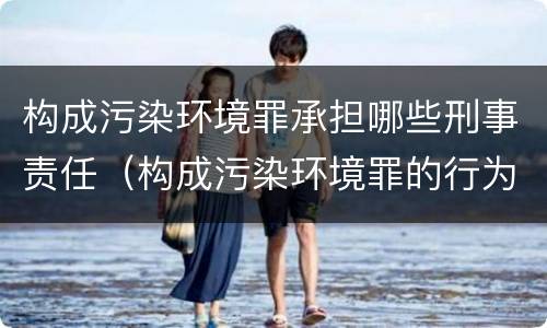 构成污染环境罪承担哪些刑事责任（构成污染环境罪的行为方式有哪些）