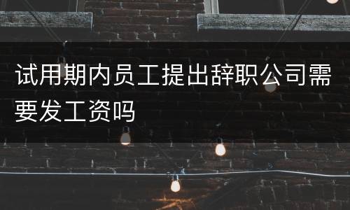 试用期内员工提出辞职公司需要发工资吗