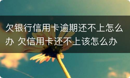 欠银行信用卡逾期还不上怎么办 欠信用卡还不上该怎么办
