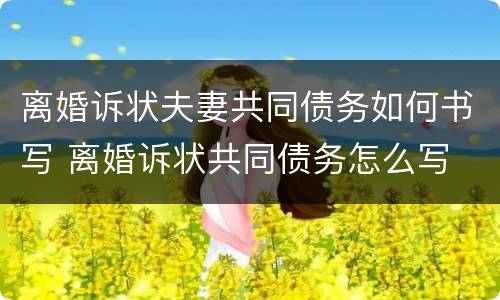 离婚诉状夫妻共同债务如何书写 离婚诉状共同债务怎么写
