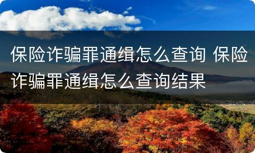 保险诈骗罪通缉怎么查询 保险诈骗罪通缉怎么查询结果