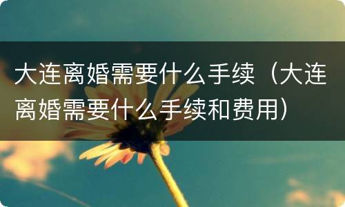 大连离婚需要什么手续（大连离婚需要什么手续和费用）
