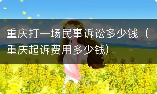 重庆打一场民事诉讼多少钱（重庆起诉费用多少钱）