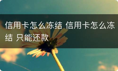 信用卡怎么冻结 信用卡怎么冻结 只能还款