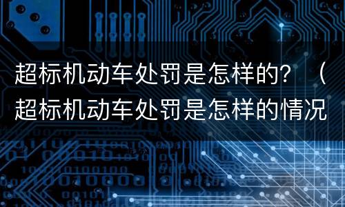 超标机动车处罚是怎样的？（超标机动车处罚是怎样的情况）