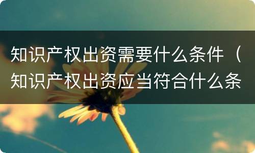 知识产权出资需要什么条件（知识产权出资应当符合什么条件?）