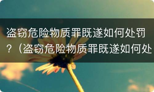 盗窃危险物质罪既遂如何处罚?（盗窃危险物质罪既遂如何处罚标准）
