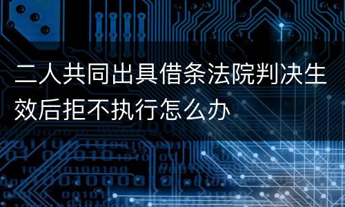 二人共同出具借条法院判决生效后拒不执行怎么办