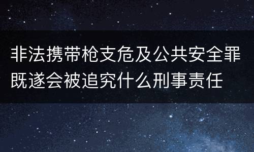 非法携带枪支危及公共安全罪既遂会被追究什么刑事责任